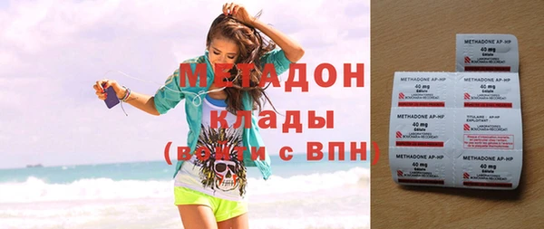 гашик Алексин