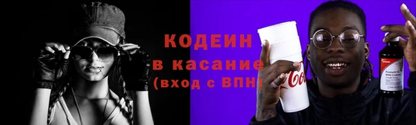 гашик Алексин