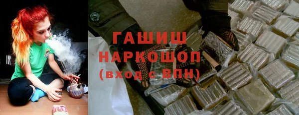 гашик Алексин