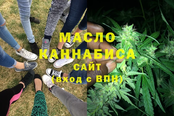 гашик Алексин