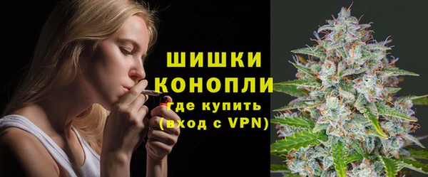 индика Пролетарск