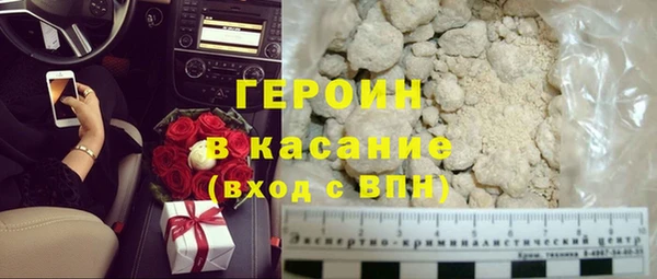 гашик Алексин